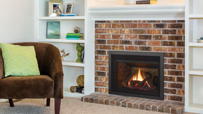Regency® Liberty® LRI3E Gas Insert