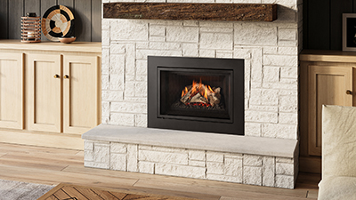 Regency® Atmosphere Gi27LE Gas Insert
