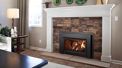 Regency® Energy™ U31 Gas Insert